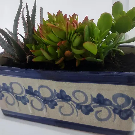 Mira D'oro. Peniscola. Semesterbostad